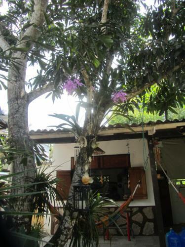 Hosteria Barlovento B&B