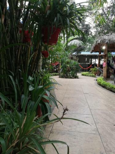 Hosteria Barlovento B&B