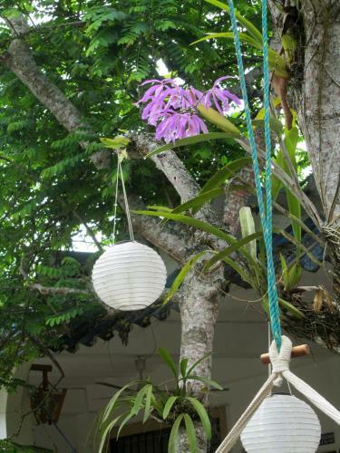 Hosteria Barlovento B&B