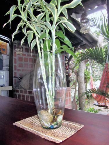 Hosteria Barlovento B&B