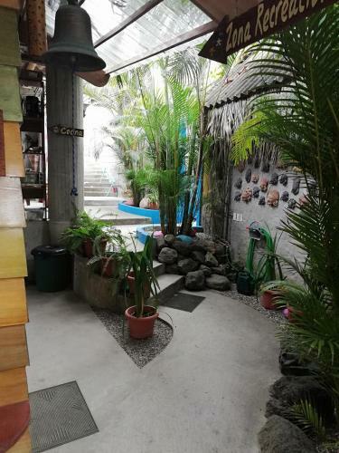 Albergue Hostal Oloncito