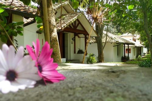 Garden Hotel San Jos� Aeropuerto