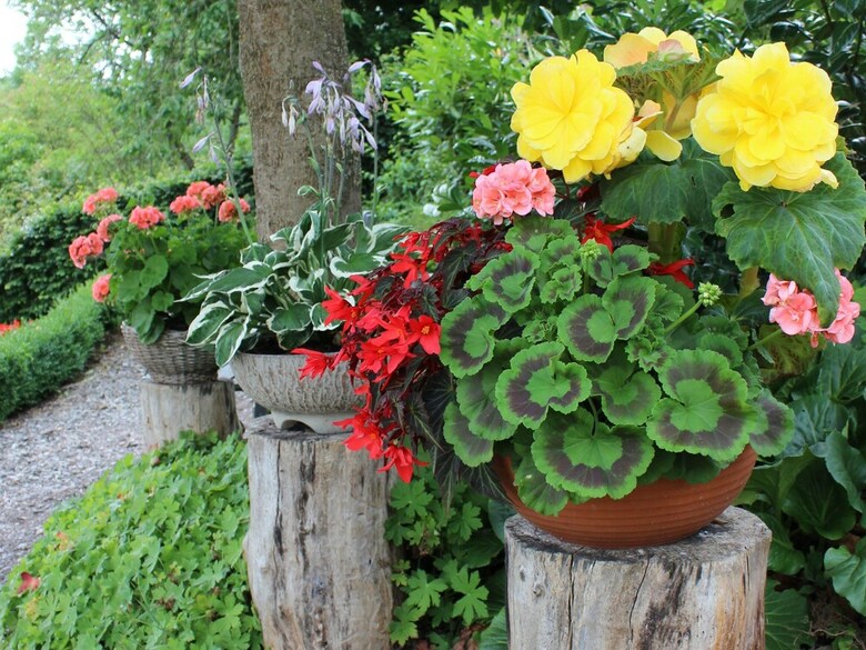 Peaceful Apartment In Pl�tscheid Eifel Near Forest