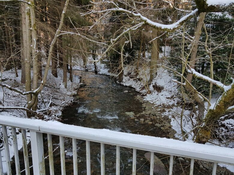 Spacious Apartment In Upper Harz Near River