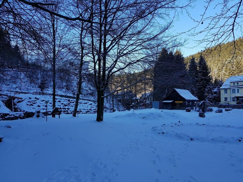 Spacious Apartment In Upper Harz Near River