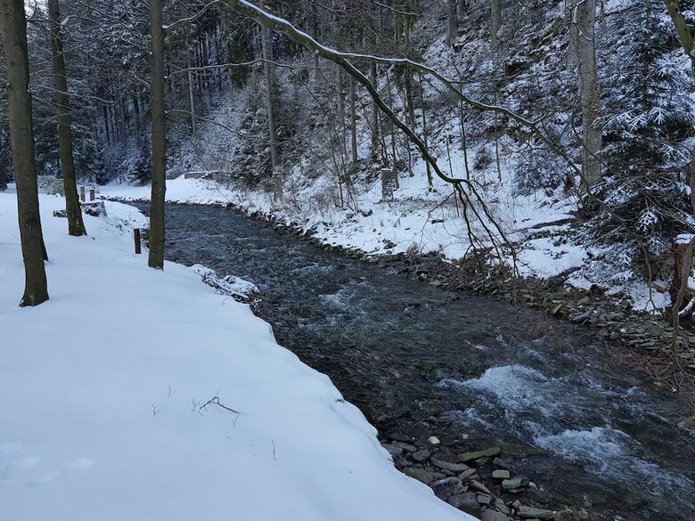 Spacious Apartment In Upper Harz Near River
