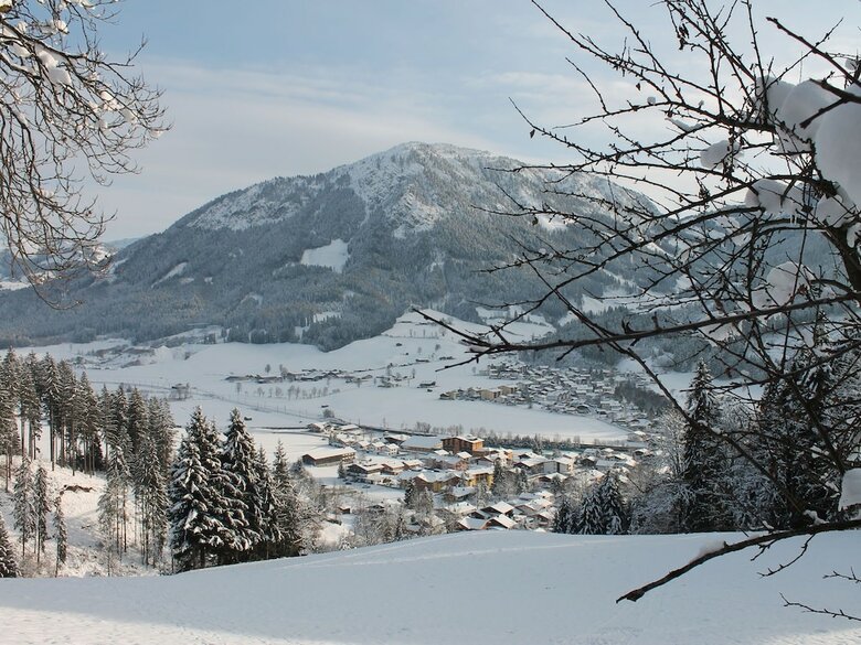Luxury Apartment Near Ski Area In Tyrol