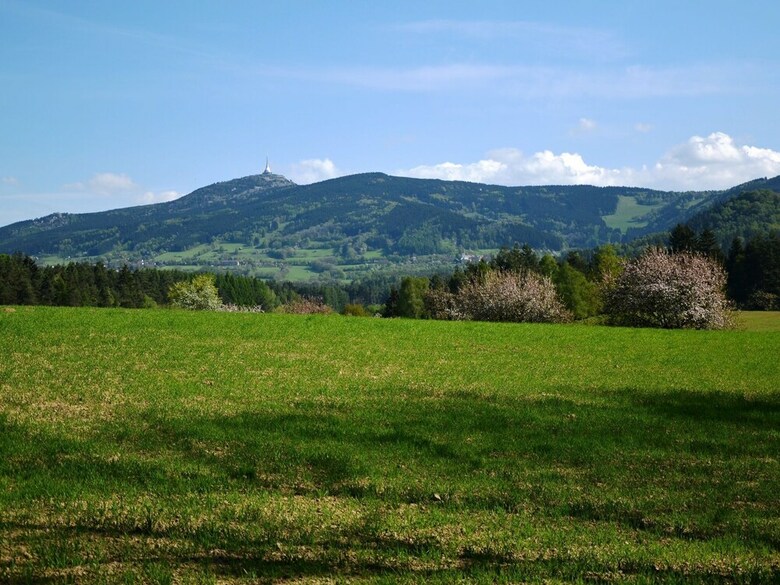 Luxury Villa Near Forest In Hlavice Czech Republic