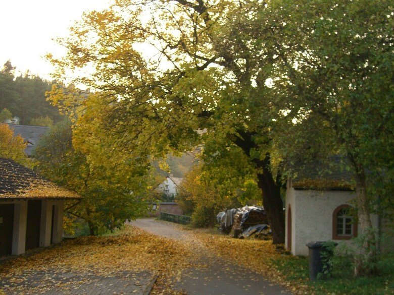 Quaint Apartment In Nohn With Breathtaking View