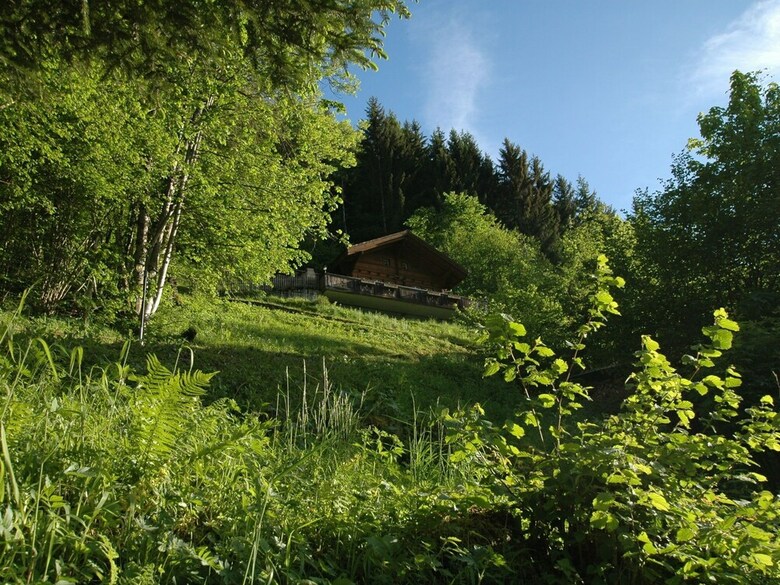 Cabana Beautiful Holiday Home In Brienz With Lake View