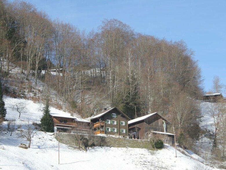 Cozy Apartment Near Ski Area In Tschagguns