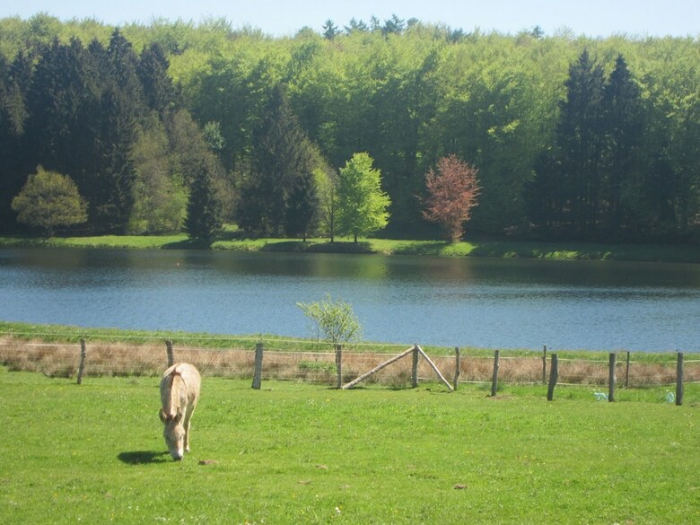 Elegant Child-friendly Villa In Berismenil Near Forest