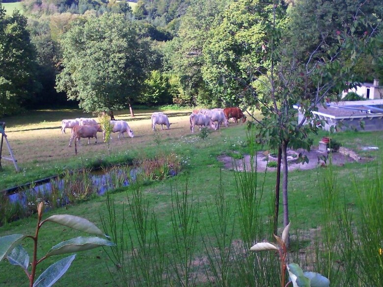Alluring Holiday Home With Pool, Barbecue, Sun-loungers
