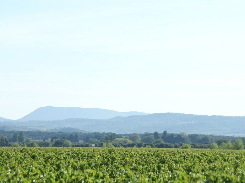 Modern Villa With Heated, Private Swimming Pool Near Mont Ventoux