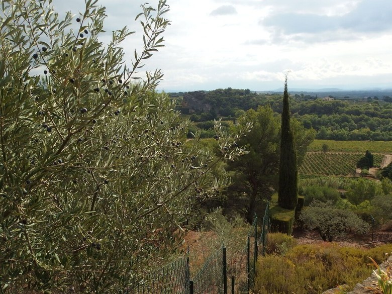 Modern Villa With Heated, Private Swimming Pool Near Mont Ventoux