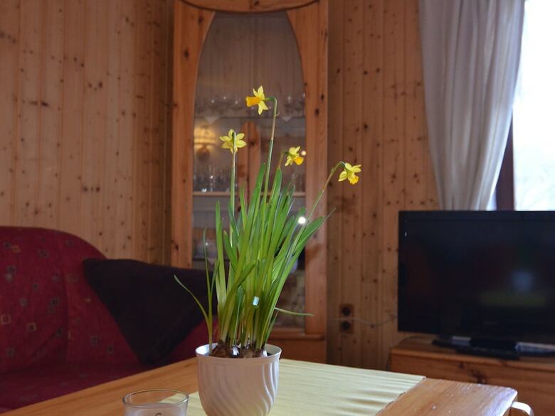 Modern Apartment In Hahnenklee Near Skiing Slopes