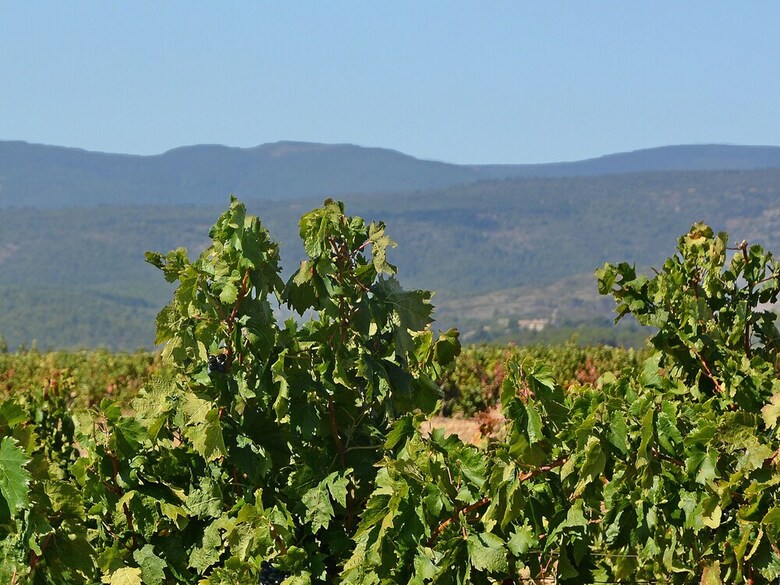 Cozy Villa In Caunes-minervois With Swimming Pool