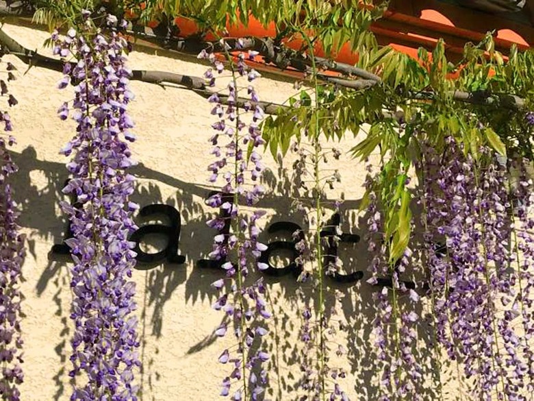 Cozy Villa In Caunes-minervois With Swimming Pool