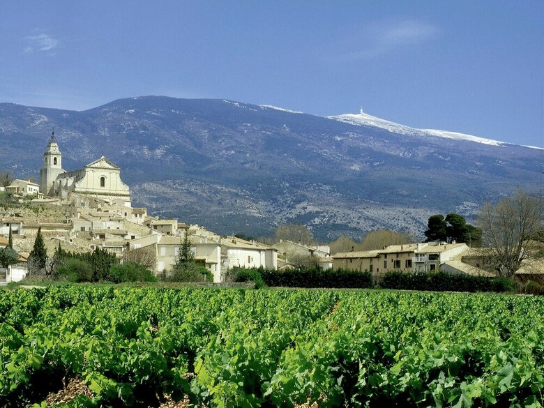 Serene Holiday Home In Carpentras With Private Swimming Pool