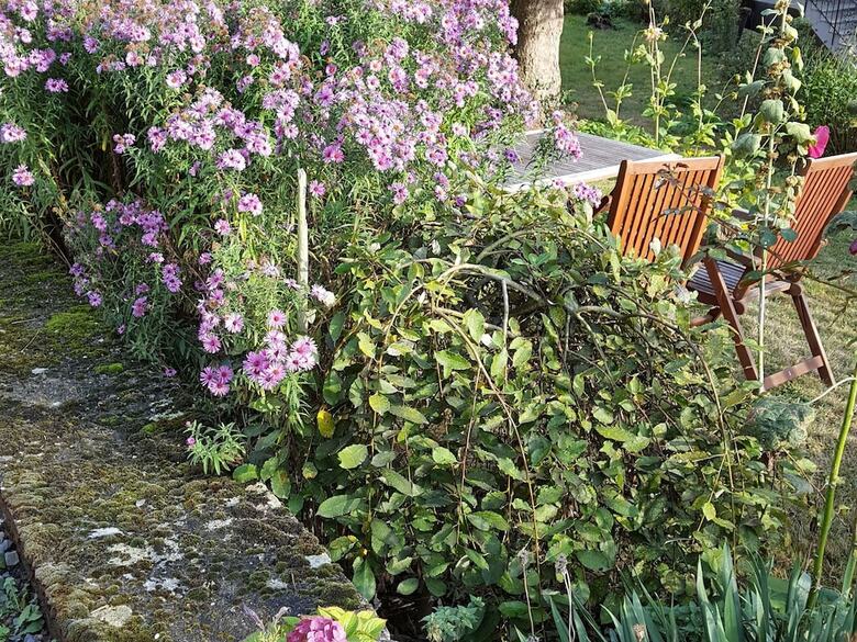 Quaint Apartment In Kaifenheim Near Forest