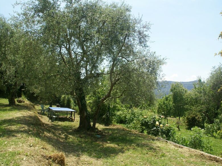 Snug Holiday Home In Berre-les-alpes With Terrace