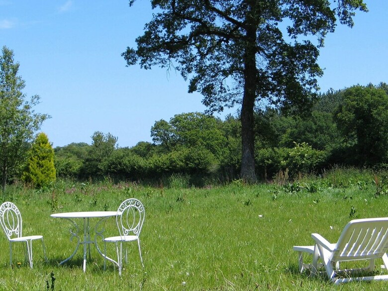 Pretty Cottage In La Chapelle-neuve Brittany With Jacuzzi
