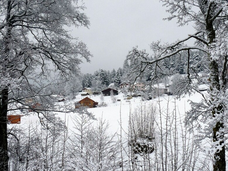 Cozy Chalet In Granges-sur-vologne Near Ski Area