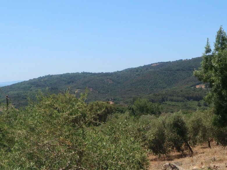 Villa House With Private Pool, Pizza Oven, Bbq, Ping Pong, Jacuzzi, Just Call It!