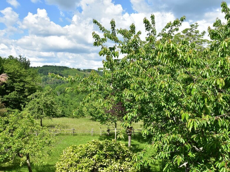 Luring Holiday Home In Incorrect With Garden