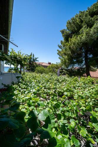 Hostal Guest House Ero