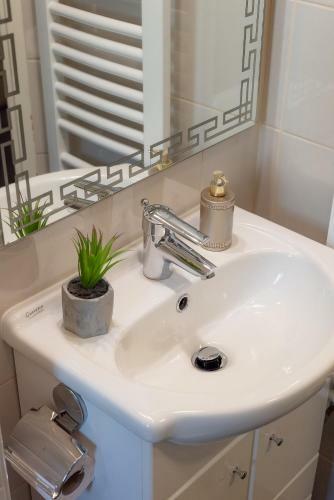 Anastasia Apartments & Rooms - Zagreb Centre