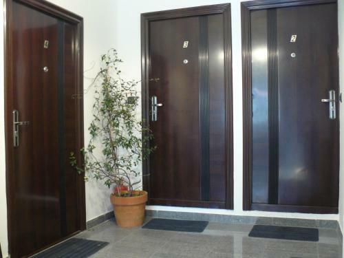 Celic Art Apartments