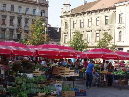 Hostal Guest House Ilicki Plac