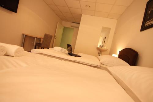 Hostal Rooms Xxl