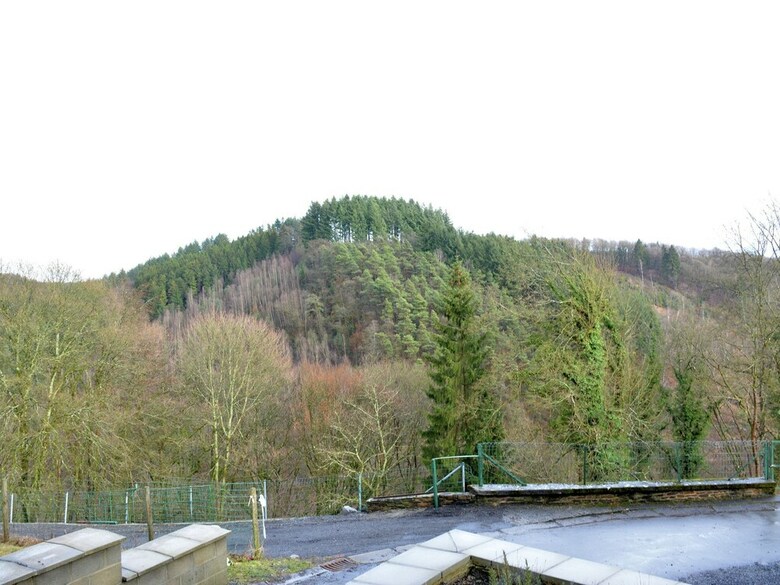 Small Typical Ardennes House, Comfortable, In Quiet Hamlet