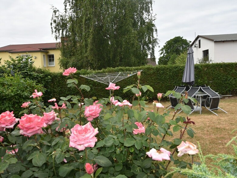 Modern Bungalow In Rerik With Terrace