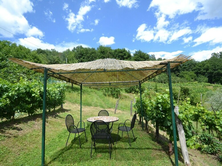 Welcoming Holiday Home In Molazzana With Private Pool