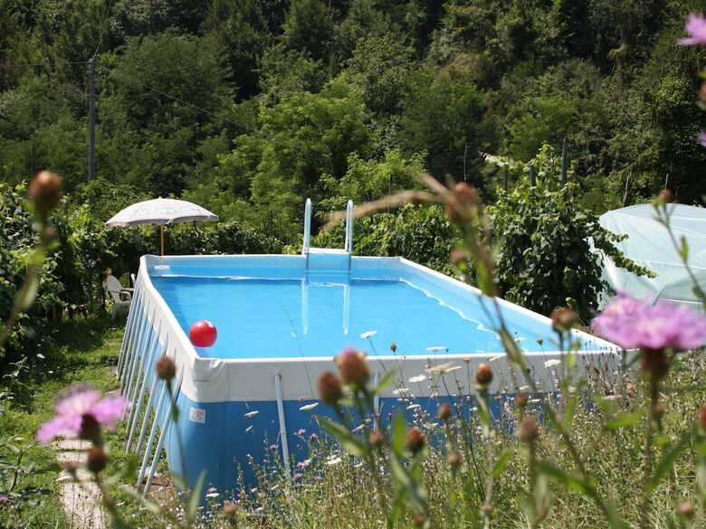 Welcoming Holiday Home In Molazzana With Private Pool