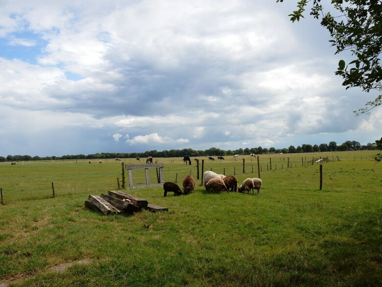 A Beautiful, Link-detached Farm House In The Drentse Wapse