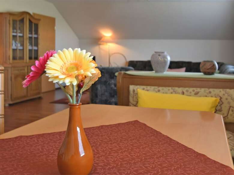 Spacious Apartment With Sauna And Jacuzzi In Harz