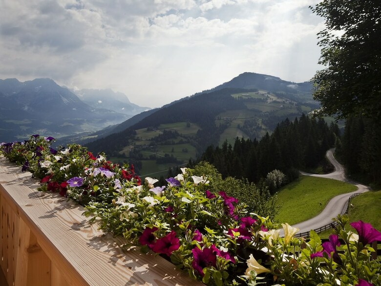 Beautiful Mansion In S�ll With Garden