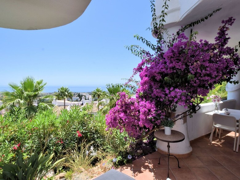 Luxury Apartment With Breathtaking Sea View Surrounded By Palm Trees!