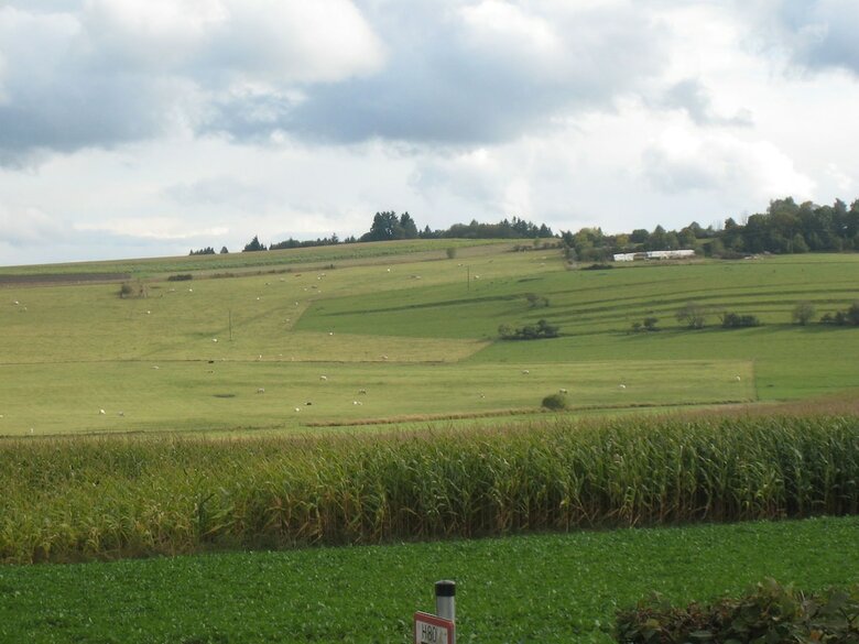 Beautiful High Quality Apartment With Private Terrace, Centrally In The Eifel