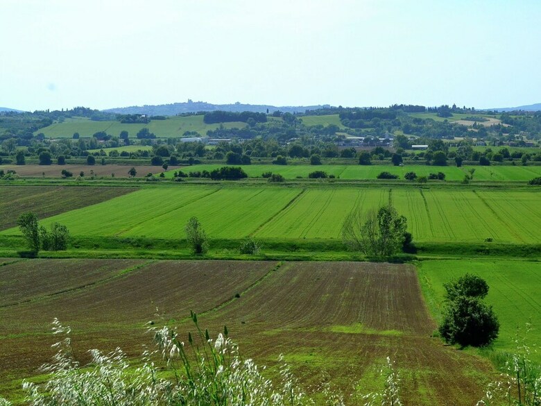 Spacious Cottage With Pool In Arezzo Italy
