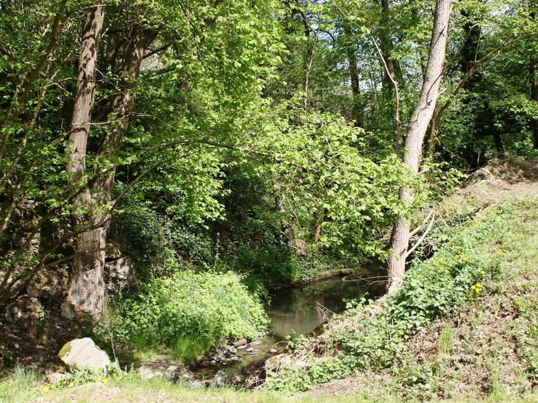 Enjoy A Holiday In A Former Mill By The River Mosel