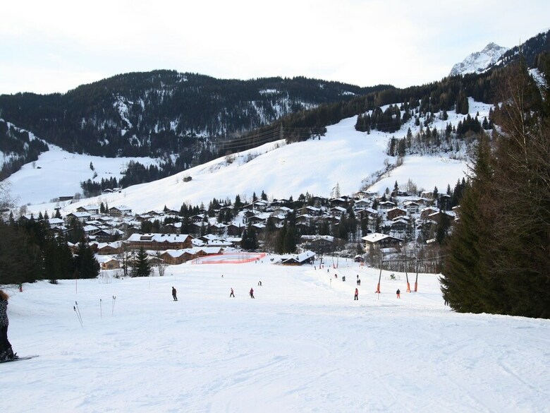 Cozy Apartment On Slopes In Dienten
