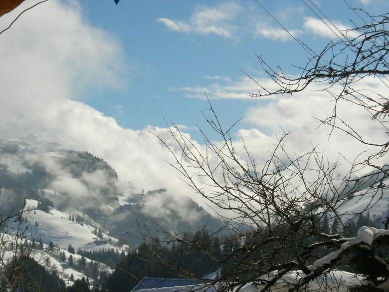 Cozy Apartment On Slopes In Dienten