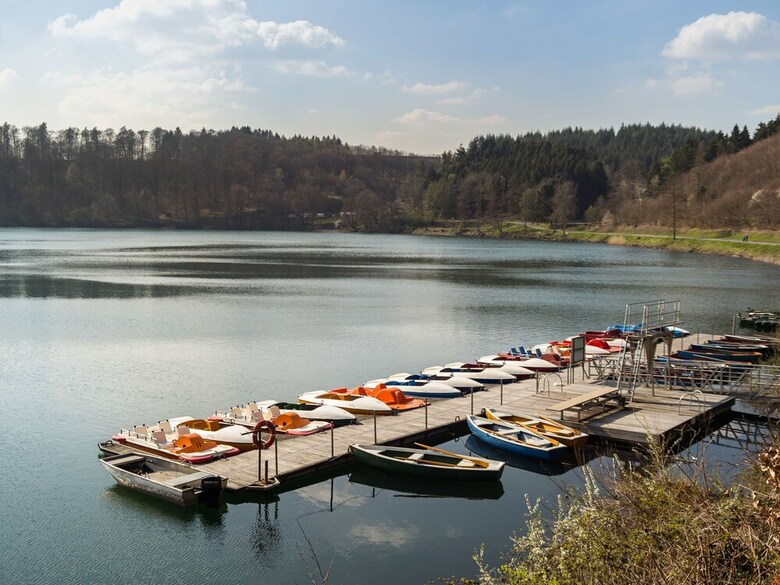 Luxurious Holiday Home In Ellscheid With Sandpit