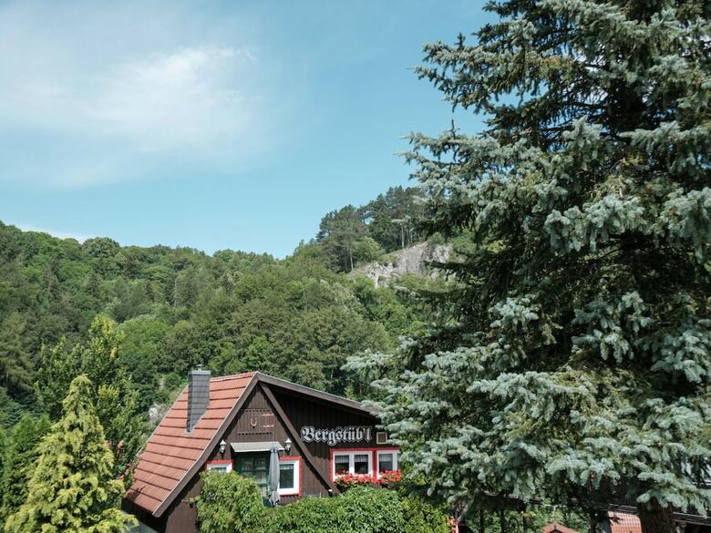 Quaint Holiday Home In Elbingerode Near Forest