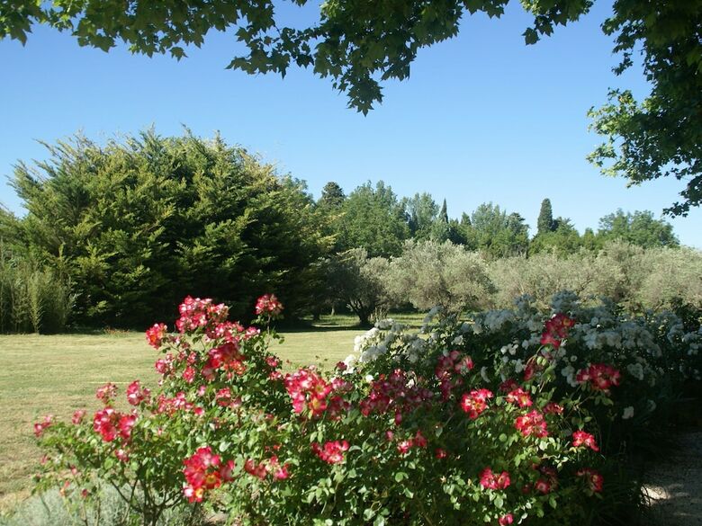 Beautiful Villa In Paradou With Swimming Pool